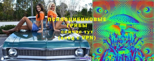 герыч Алексин