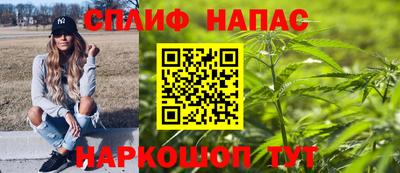 гашик Пыть-Ях