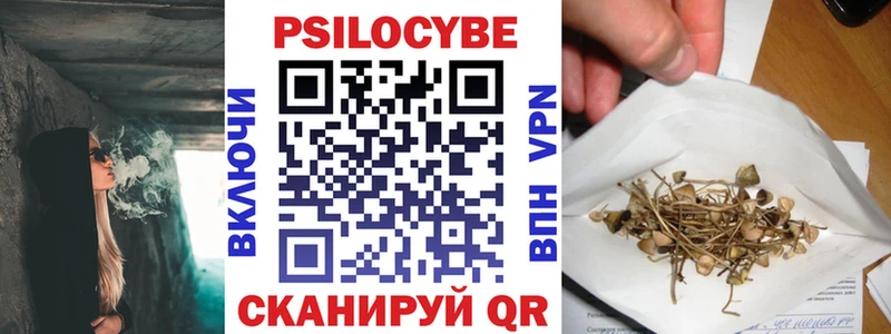 Псилоцибиновые грибы MAGIC MUSHROOMS  мега вход  Феодосия  купить наркоту 