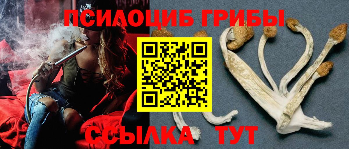 Псилоцибиновые грибы Psilocybine cubensis Феодосия