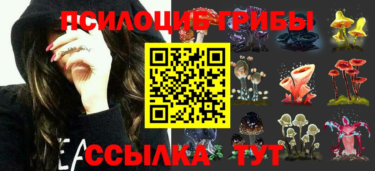 Феодосия  Псилоцибиновые грибы Psilocybe  Вход с VPN 